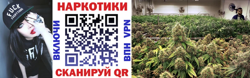 Где можно купить наркотики Елизово АМФЕТАМИН Мефедрон блэк спрут ТОР COCAIN Гашиш