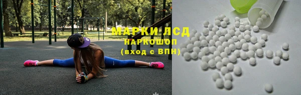 стаф Абаза