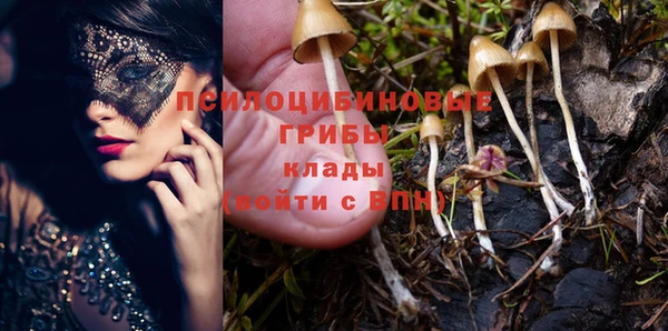 стаф Абаза