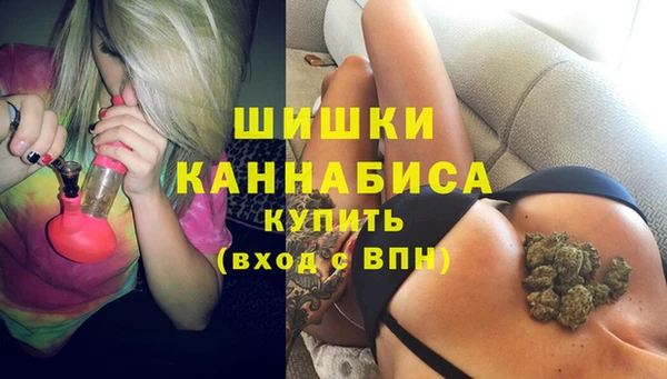 стаф Абаза
